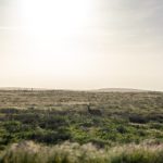 琉璃神社官网首页 ft38k3ar