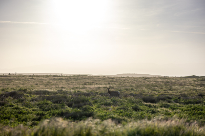 琉璃神社官网首页